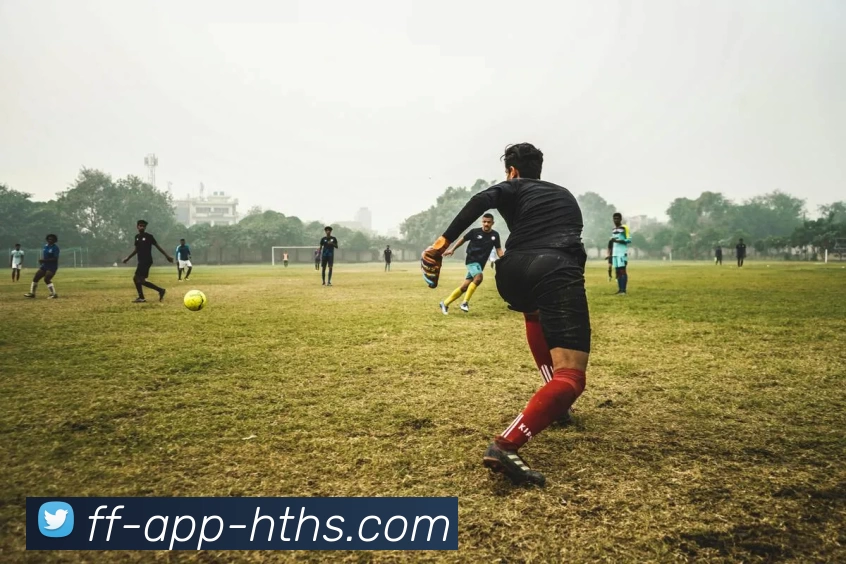 华体会平台生态图